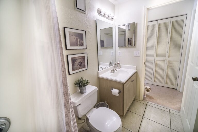 This is the other bathroom but also... here kitty kitty!